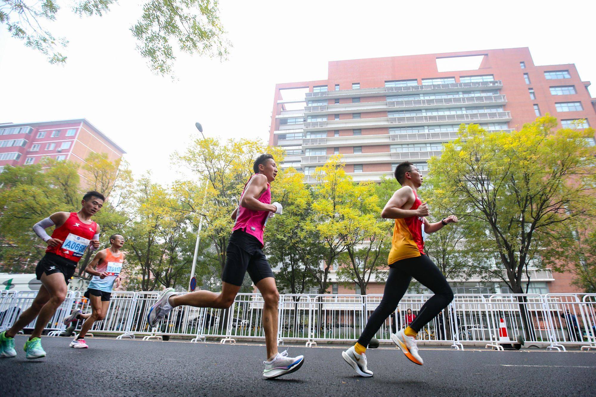 北京马拉松:千龙图集|2023北京马拉松赛举行