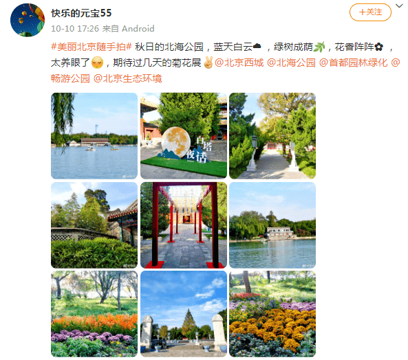 美丽北京:美丽北京随手拍丨他们拍的北京秋天美丽北京，好有氛围感！