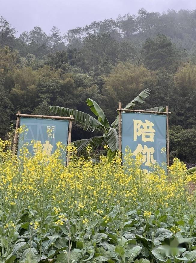 美食:云茂高速和景区携手美食，用美食美景温暖春运回家路