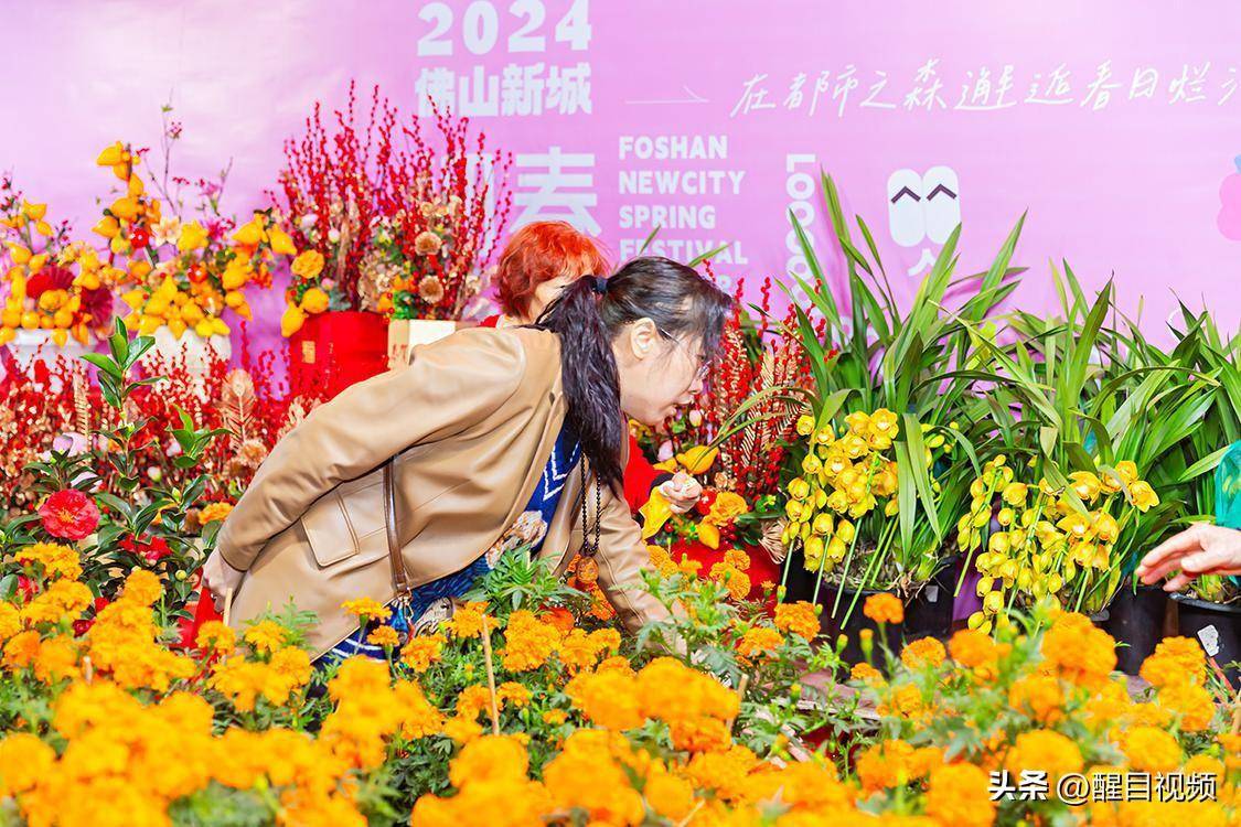 美食:图集｜佛山新城迎春花市灯光璀璨美食！行花街、叹美食年味十足