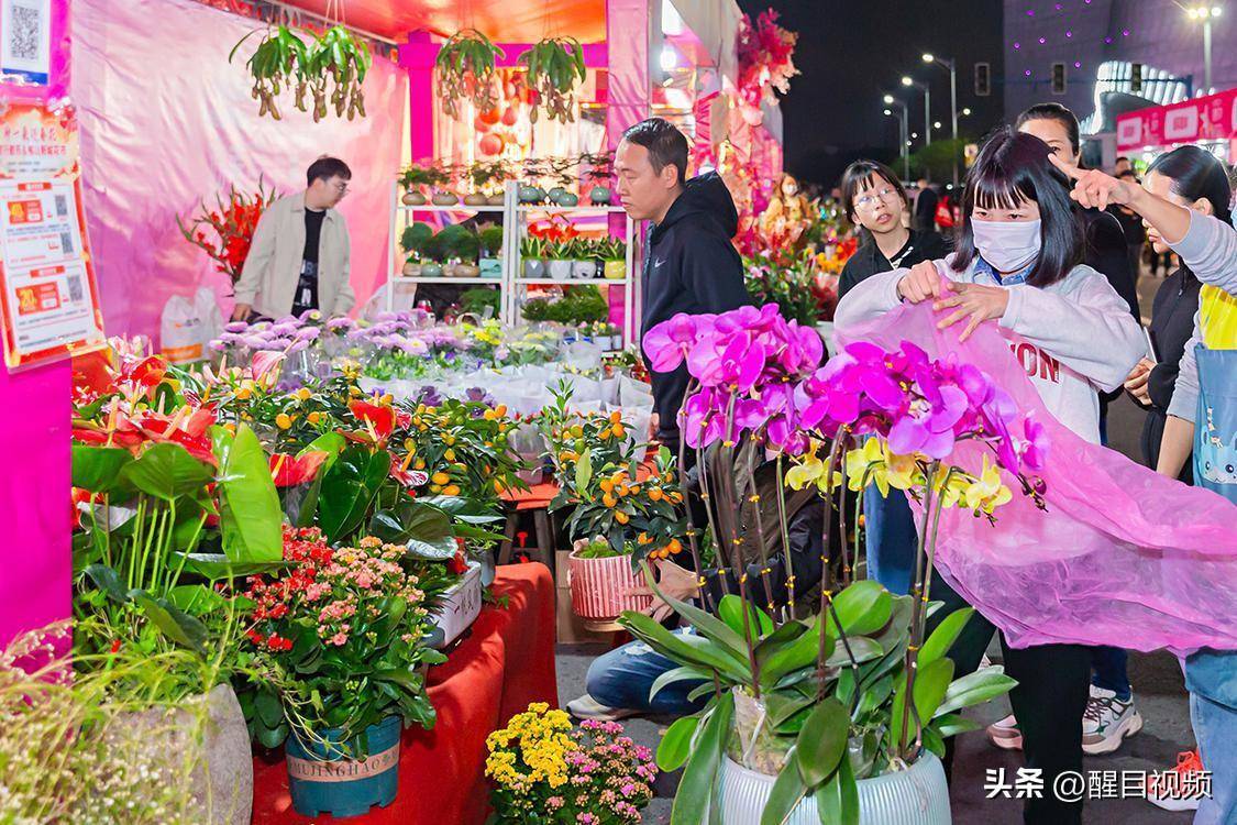 美食:图集｜佛山新城迎春花市灯光璀璨美食！行花街、叹美食年味十足