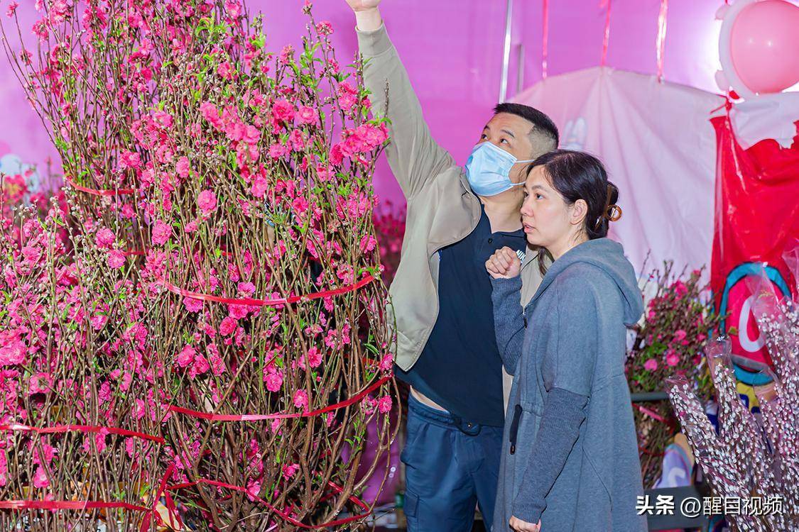 美食:图集｜佛山新城迎春花市灯光璀璨美食！行花街、叹美食年味十足