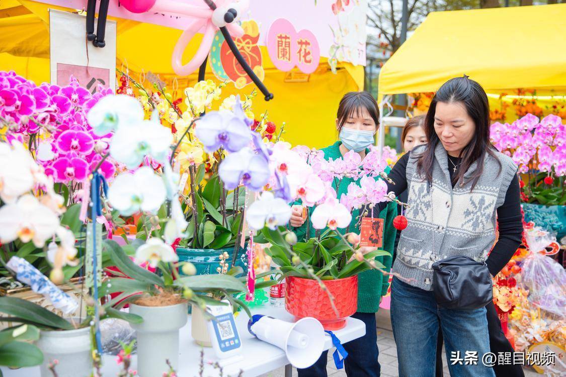 美食:图集 | 逛花市品美食看表演——2024文华迎春花市人潮涌动