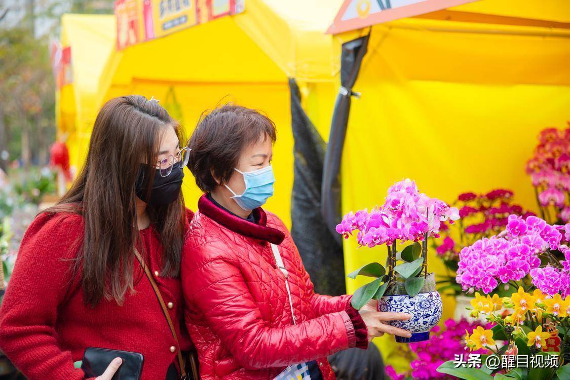 美食:图集 | 逛花市品美食看表演——2024文华迎春花市人潮涌动