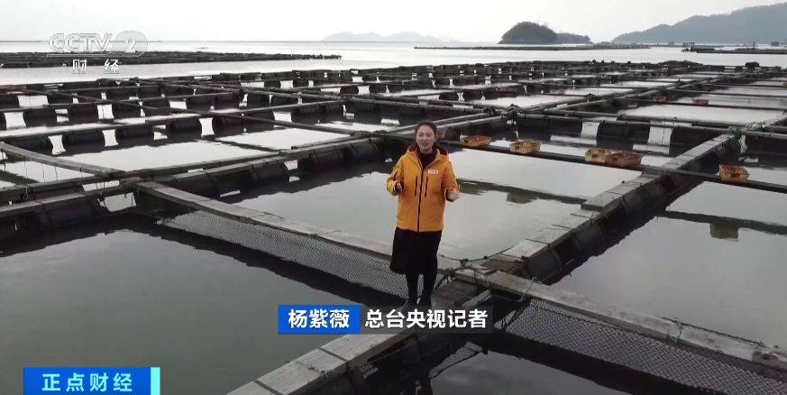 美食:长三角特色美食热销海外！临近春节美食，企业订单增长忙发货