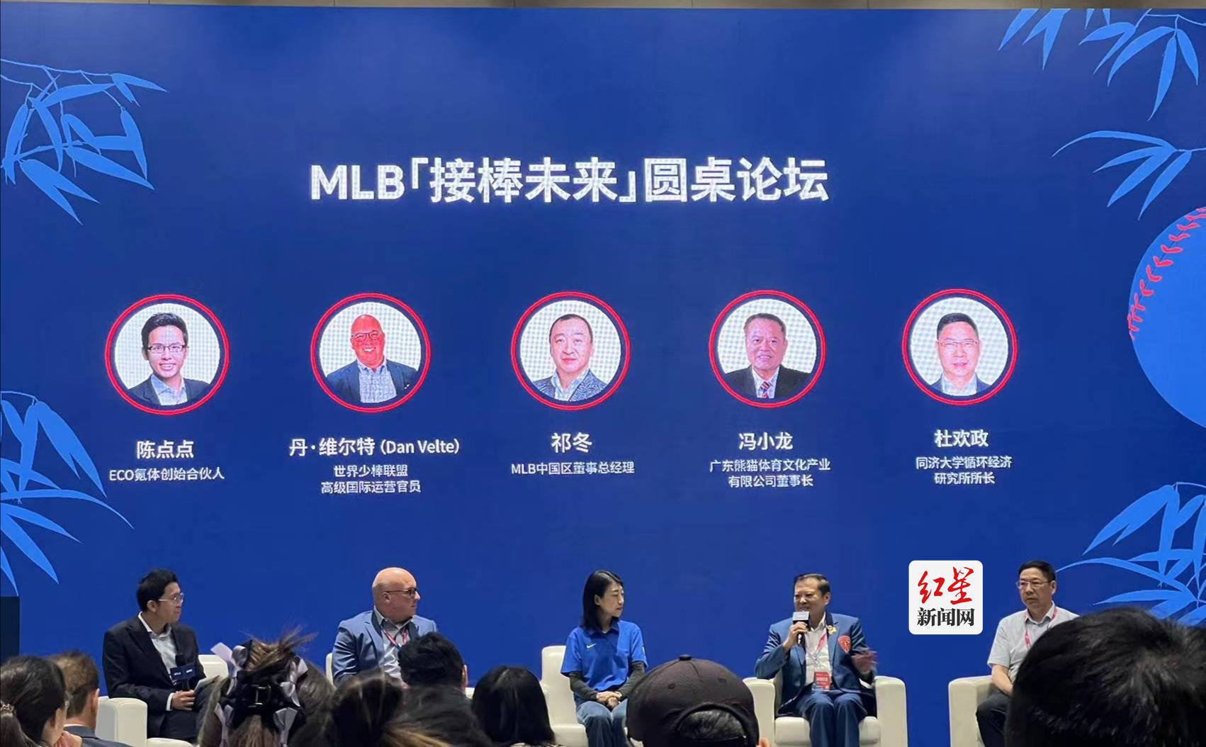 棒球:MLB携手中国棒球协会 年内将出品国内首份棒球场《图鉴》