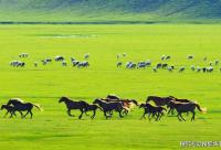 168娱乐网：内蒙古草原跟团游，内蒙报团纯玩旅行行程。定制旅行！